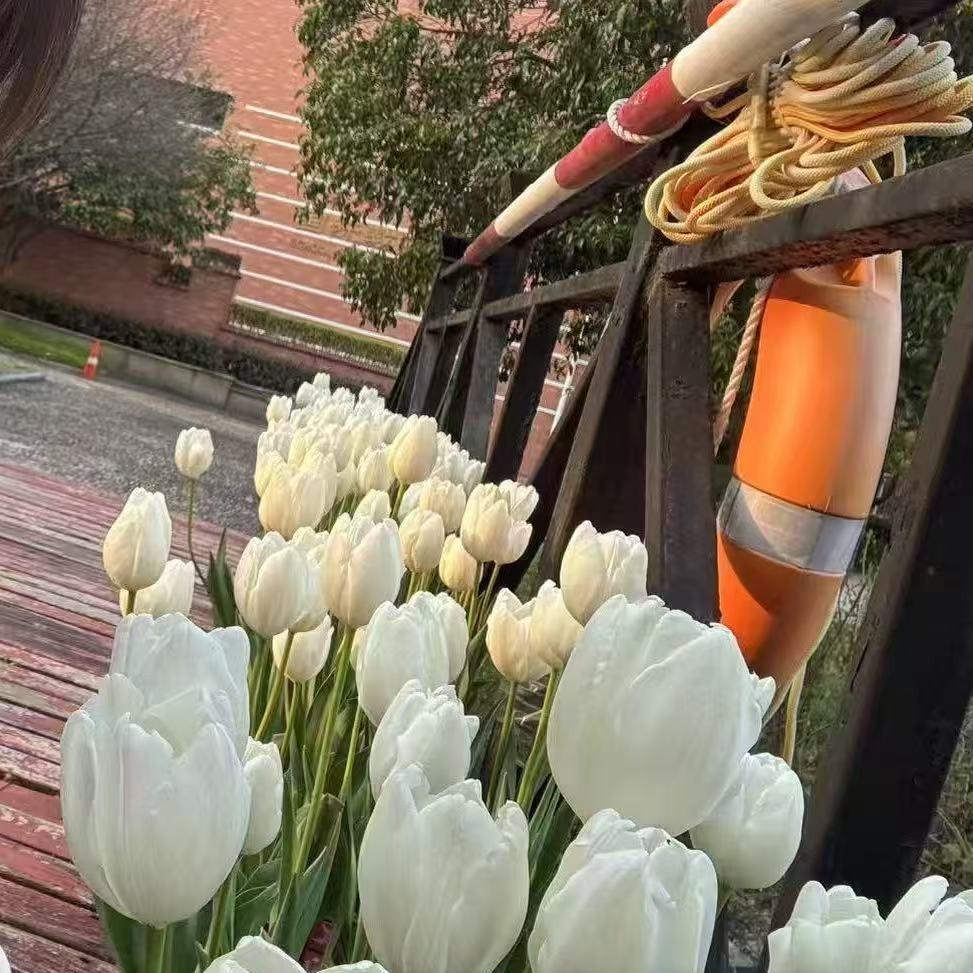 诚信商行(园林大道店)主播号