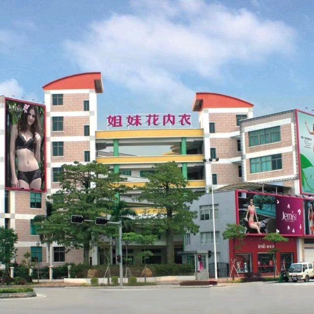 佛山市姐妹花集团