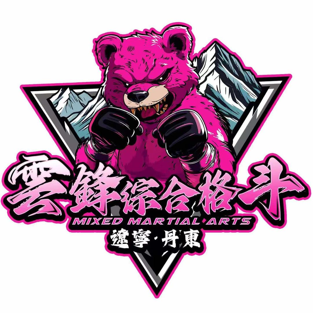 雲鋒综合格斗