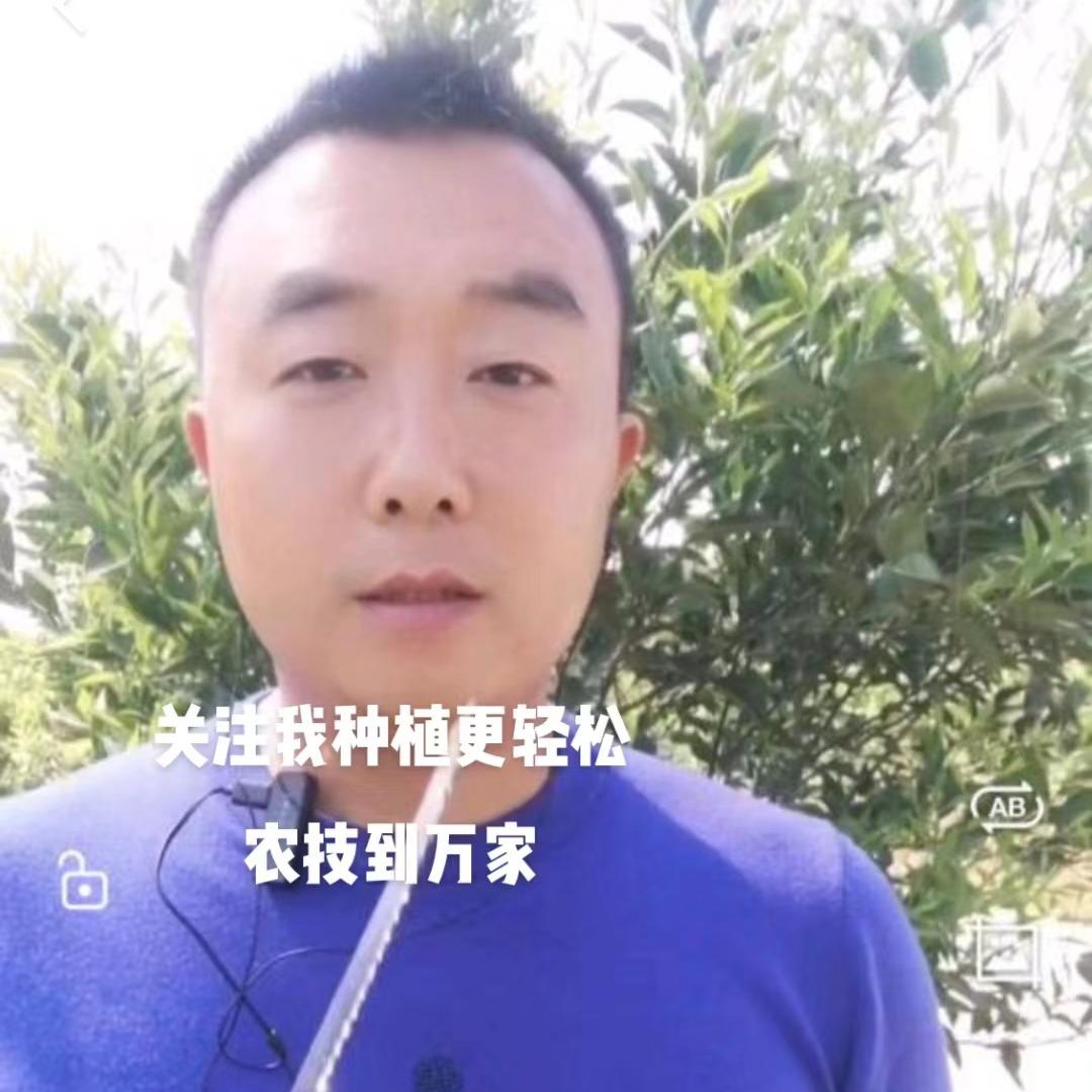 丰橘农资技术服务