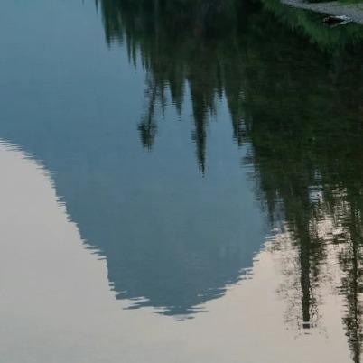 香收传媒直播号