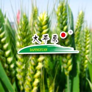 河南维特种子有限公司