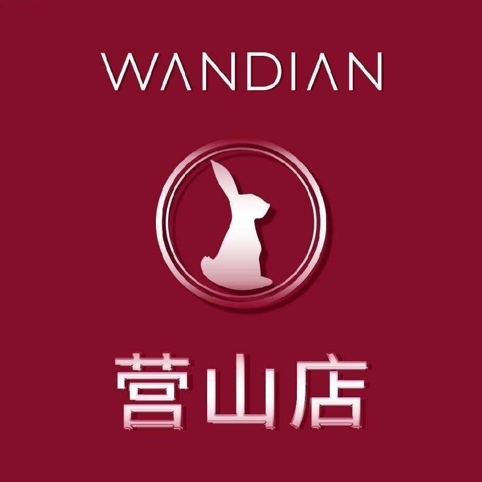 营山婉甸轻奢女装