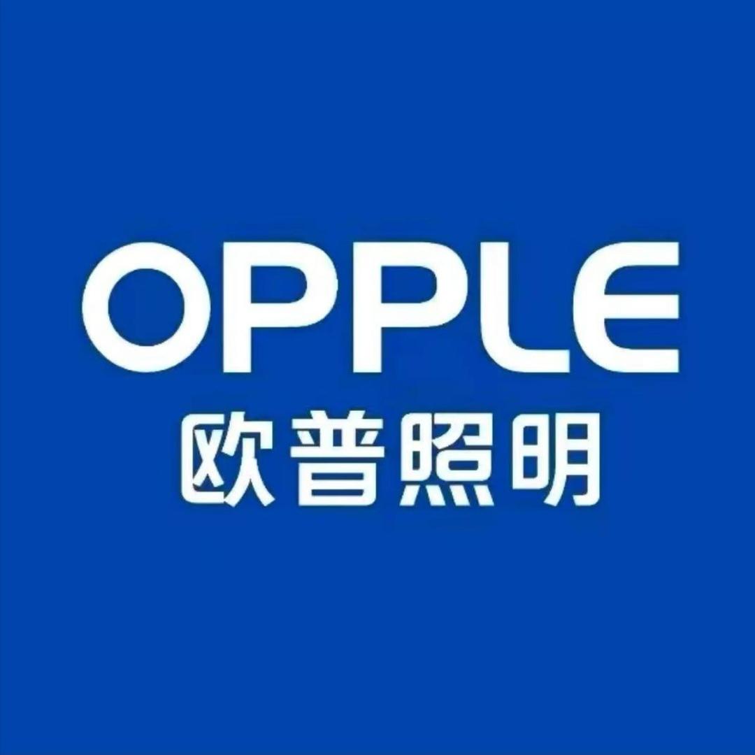 欧普照明(民权店)