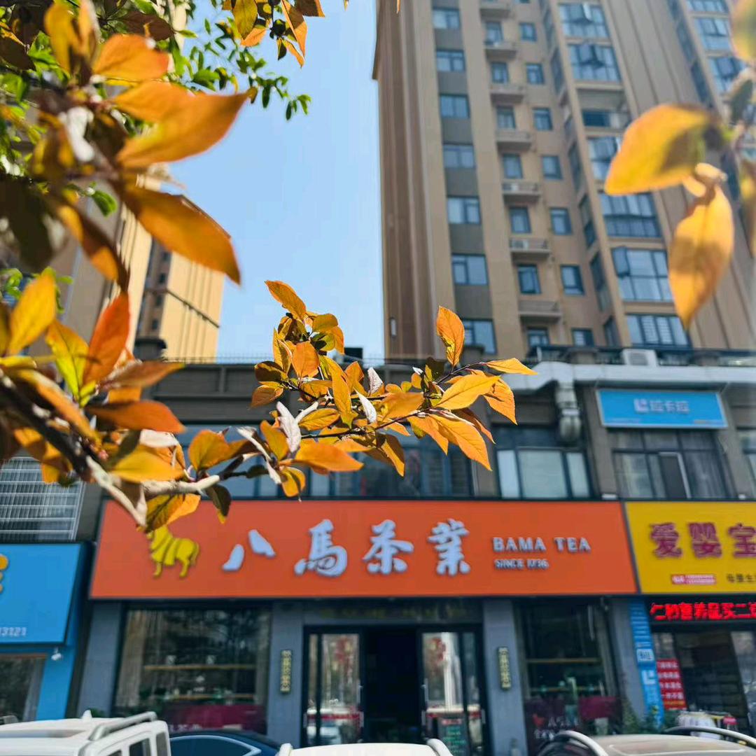 八马茶业松滋店