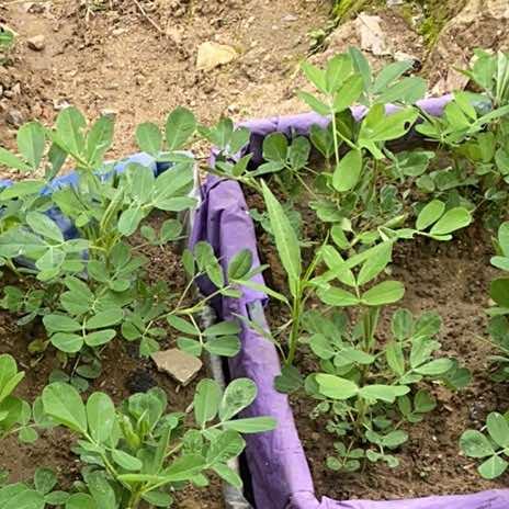 搽南商贸百货号