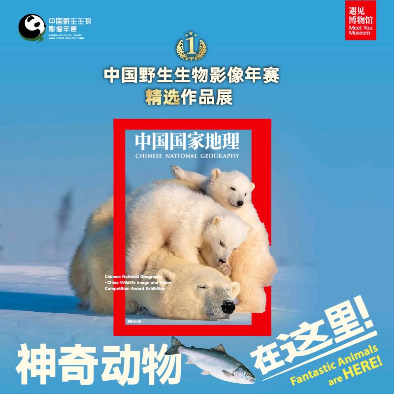 遇见博物馆(南京馆）中国国家地理