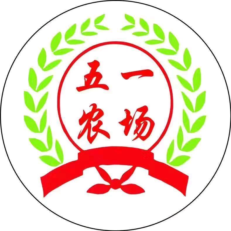 五一农场黑猪肉z