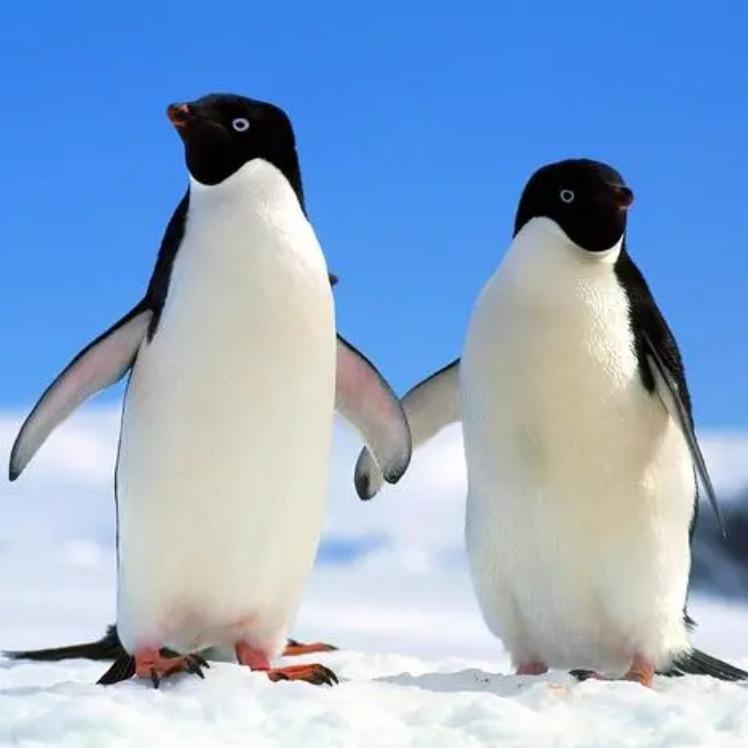 绿农鲜生哦i普i哦