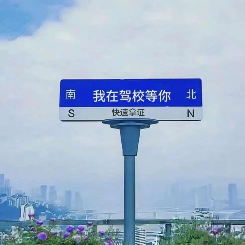 平果市交安驾校