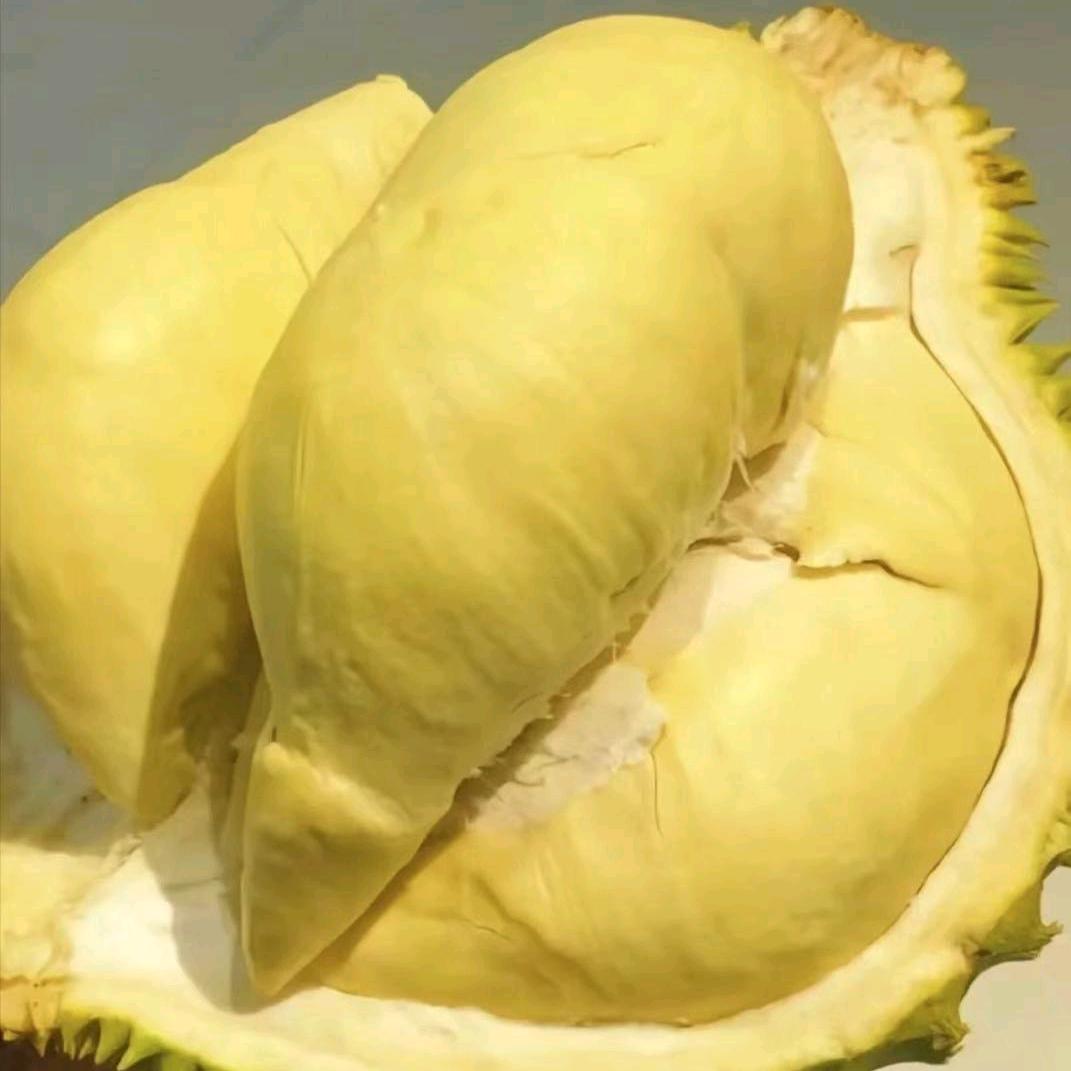 拾果水果长春北湖榴莲小时达