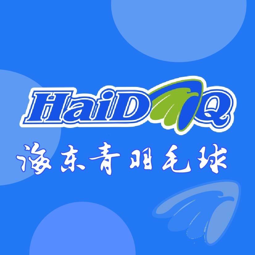 海东青羽毛球