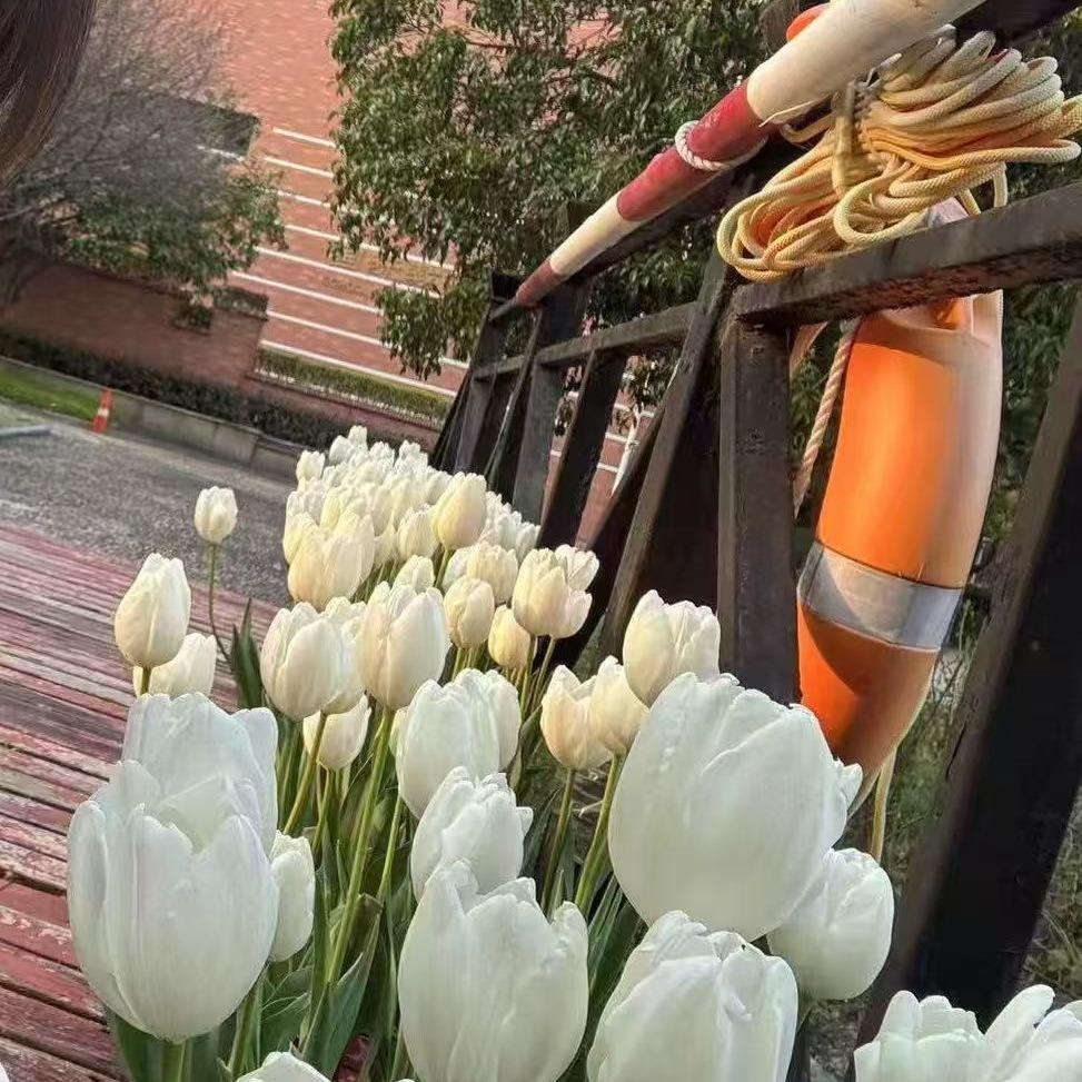 抚顺蔓琪芮商贸有限公司