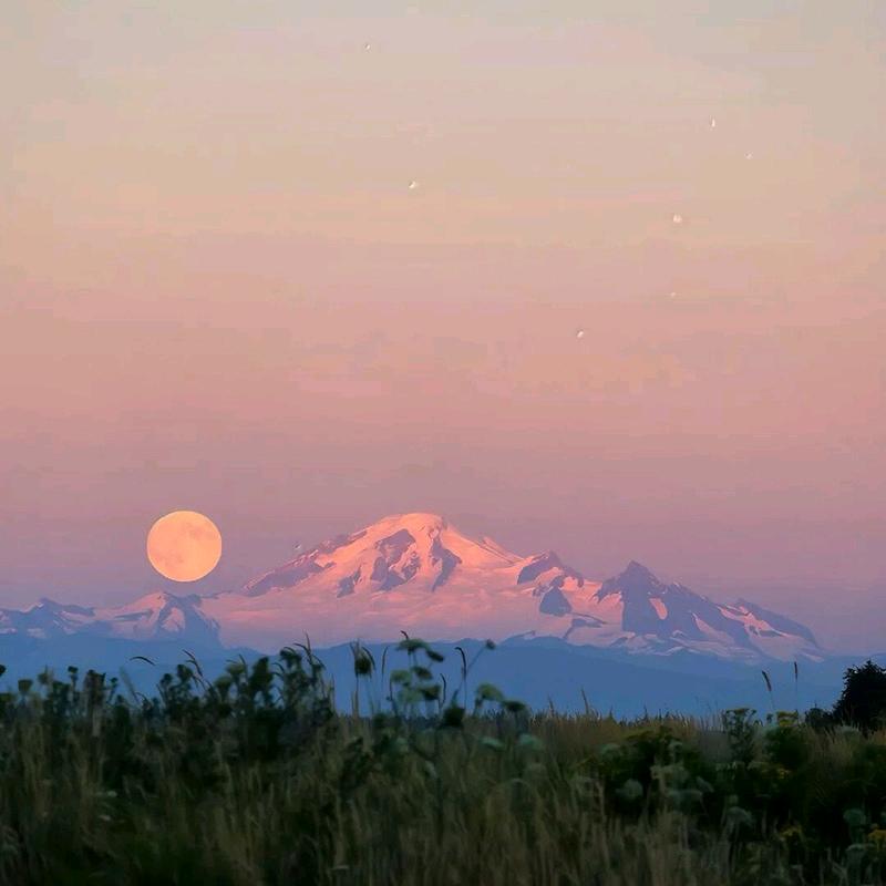 专业卫生间隔断公司4669751号