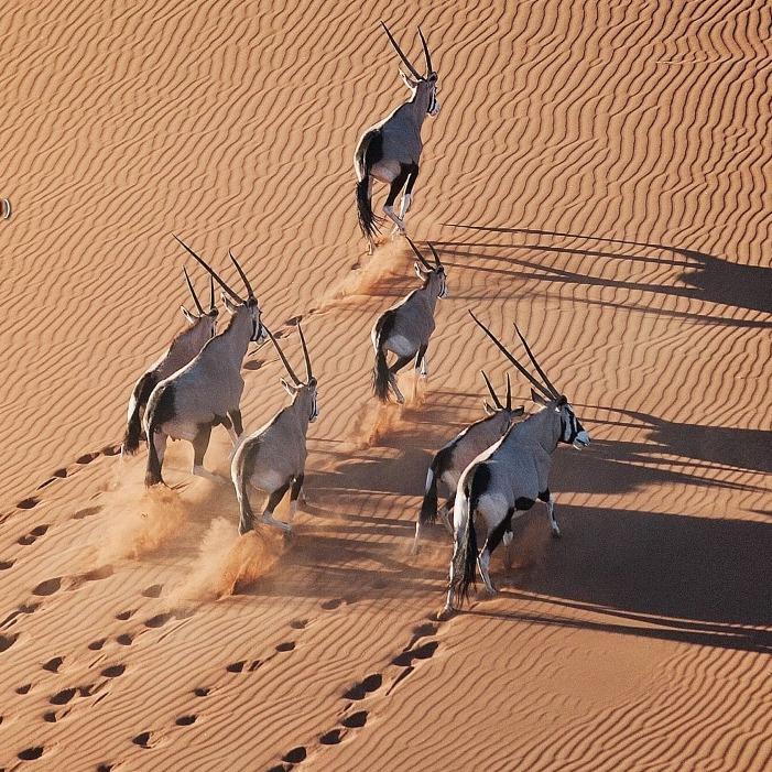 青岛忝忆峖直播号