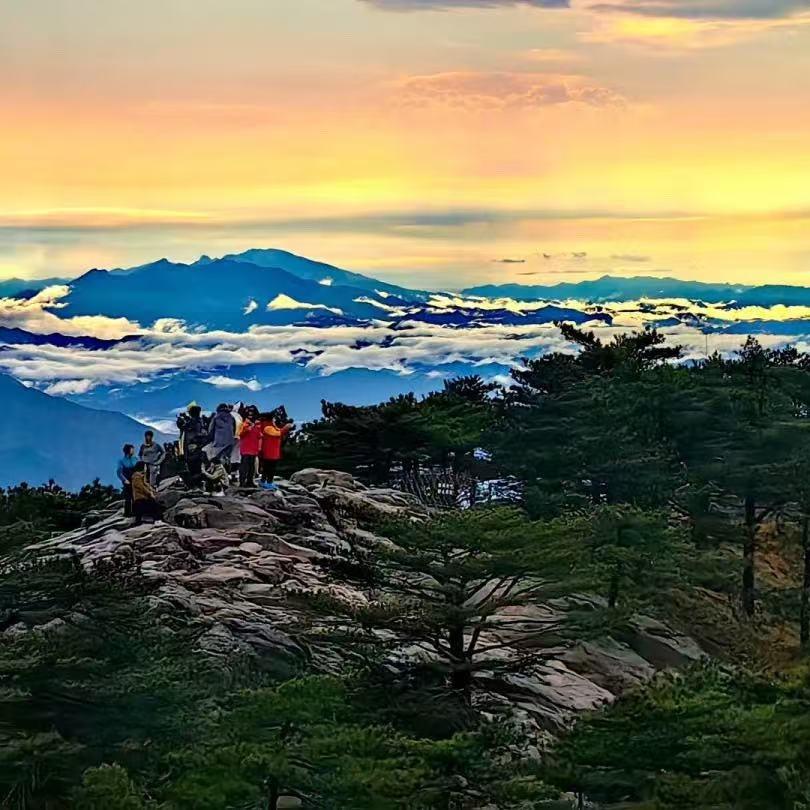 你的快乐直播号