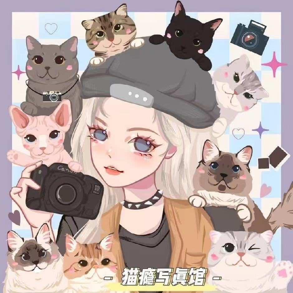 猫瘾摄影写真馆