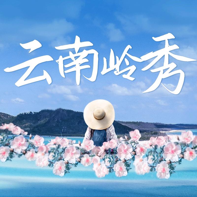 云南岭秀旅行社