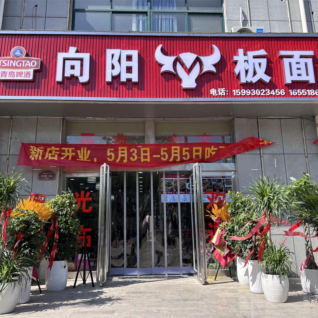 向阳板面