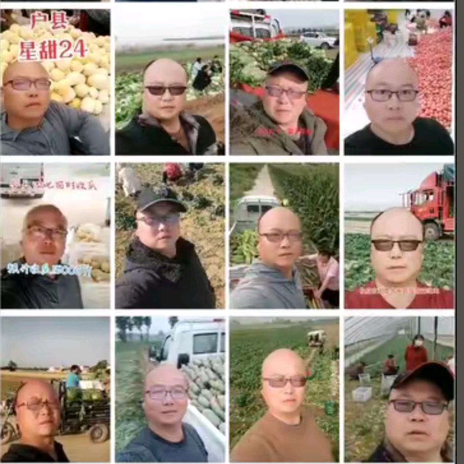 鄠邑雷阳（果蔬代办）