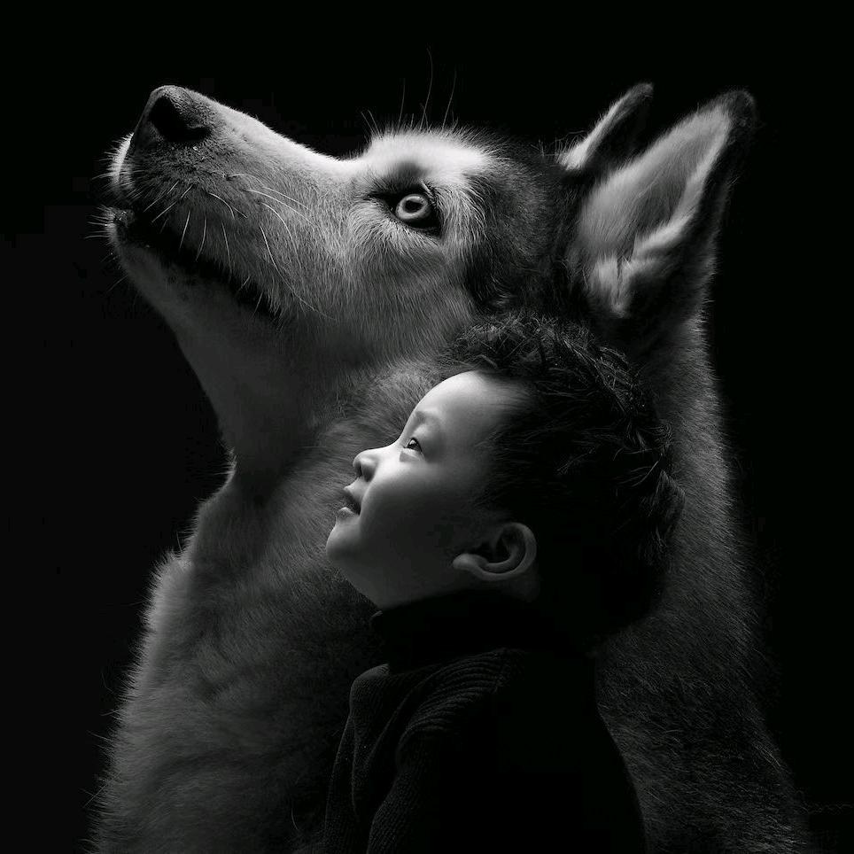 三只小熊家庭肖像馆