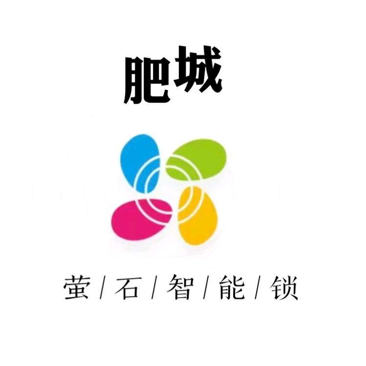 萤石智能锁(肥城旗舰直营店)