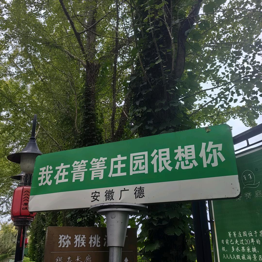 耕农新货栈-箐箐庄园