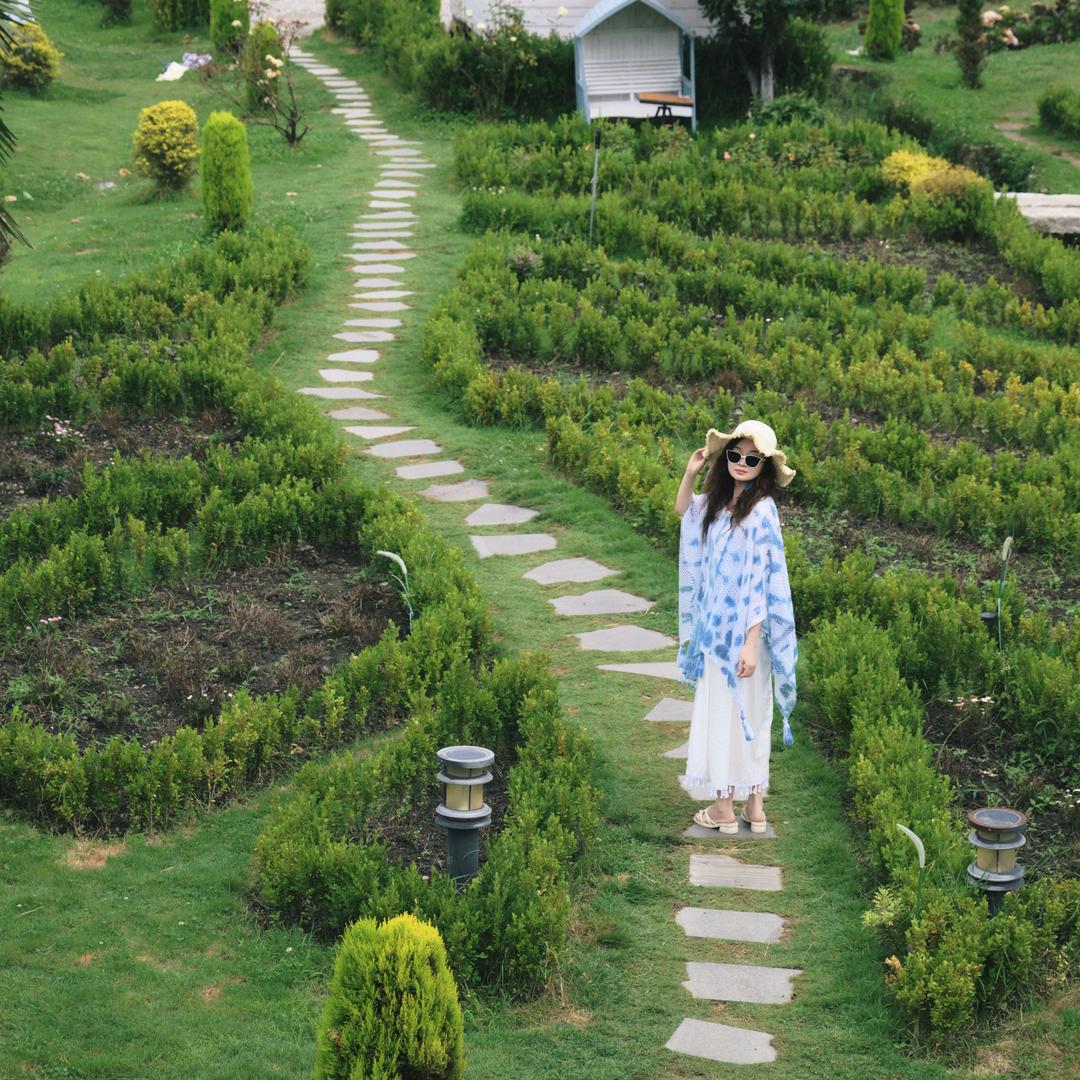 Spring Xie（资中语程茶府）