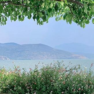 武汉市伊佩楠百货店（个人独资）武汉市伊佩楠百货店（个人独资）