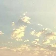 侃侃ZUNVO宠粉号