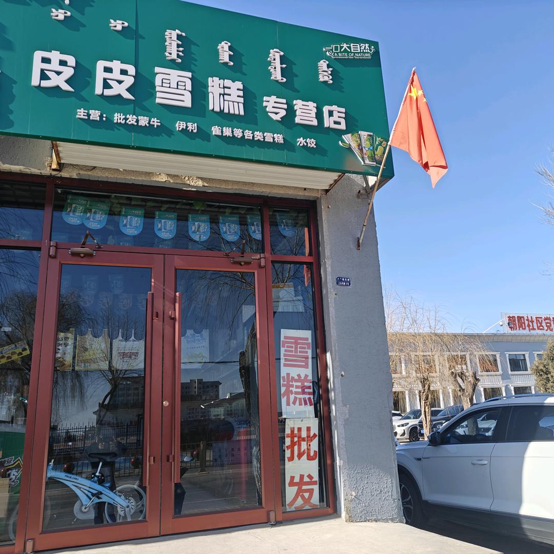 乌审旗皮皮雪糕店