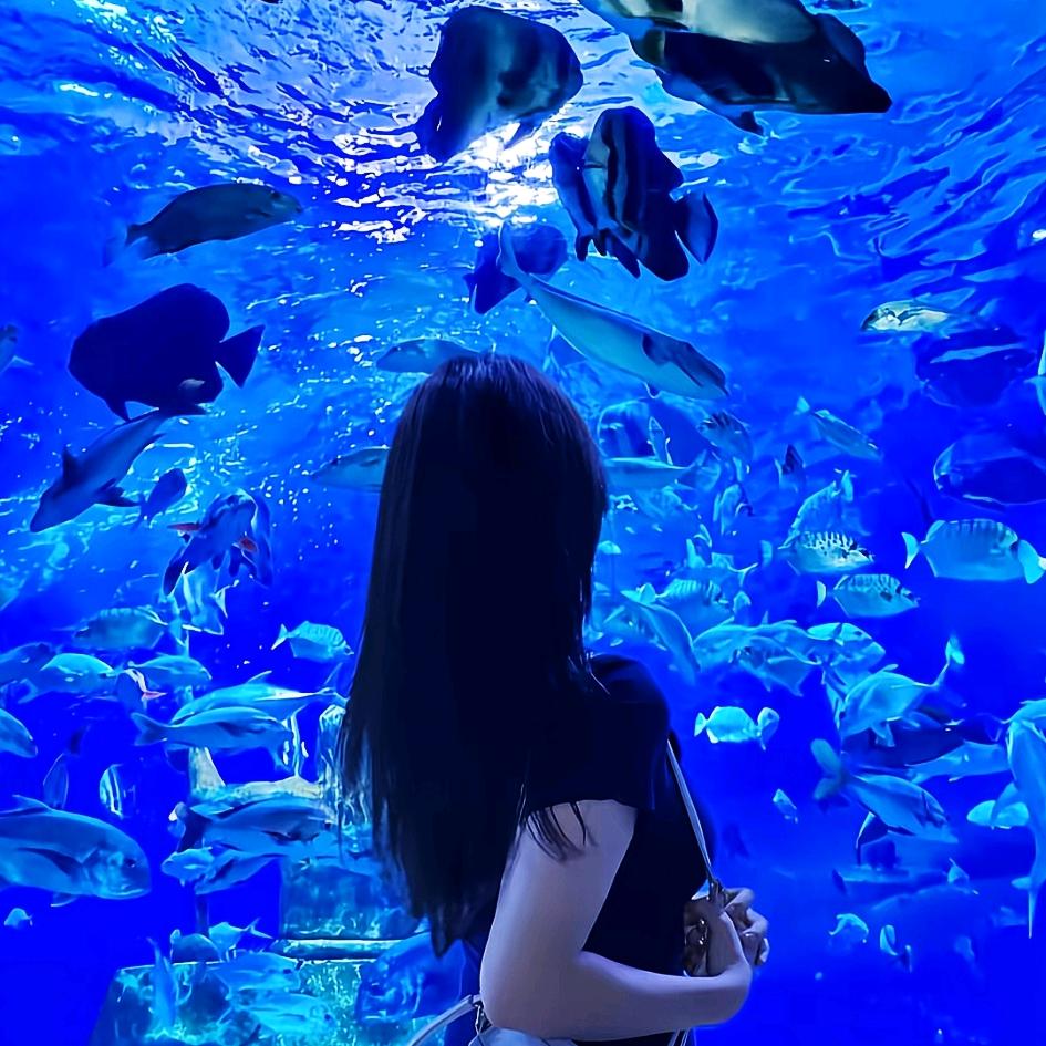 怀化九丰海洋科技馆