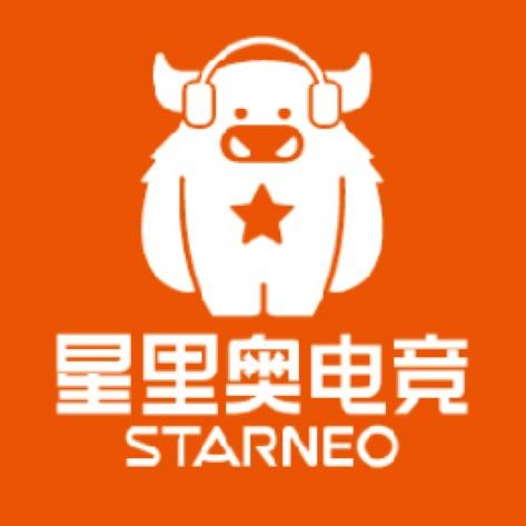 星里奥电竞(林聚店)