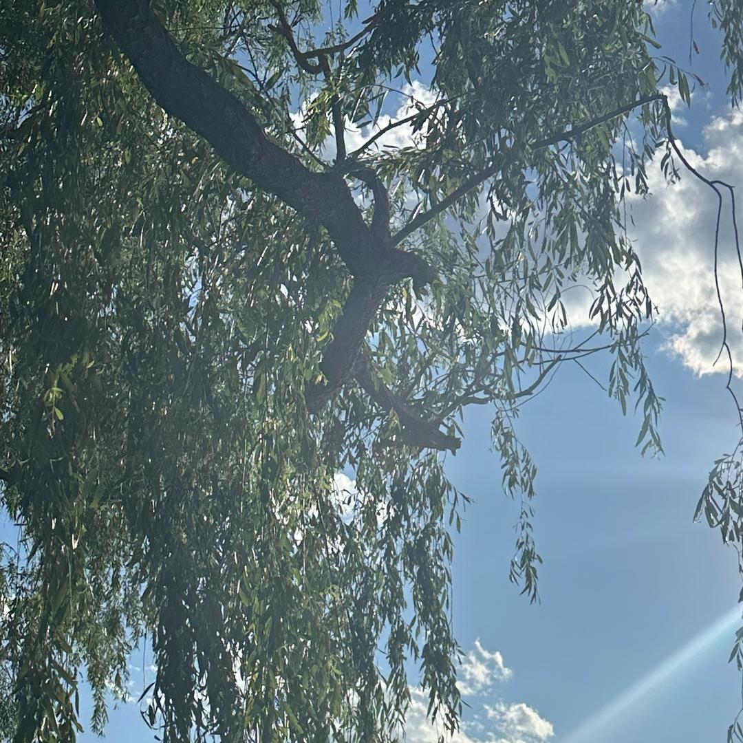 晨浠经营部超市宏潼安商贸（直播福利）