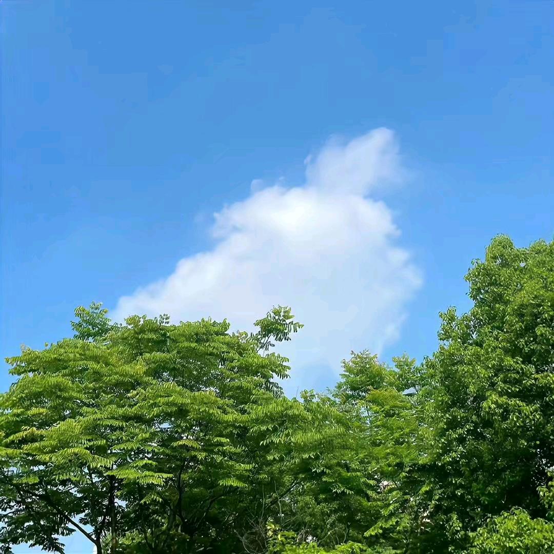 宜客阿福百货号