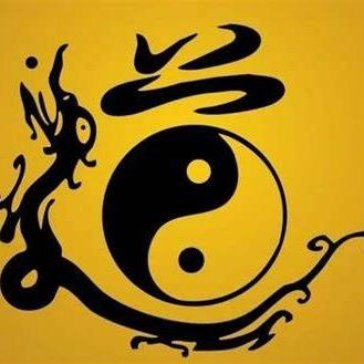 道心的直播日常号