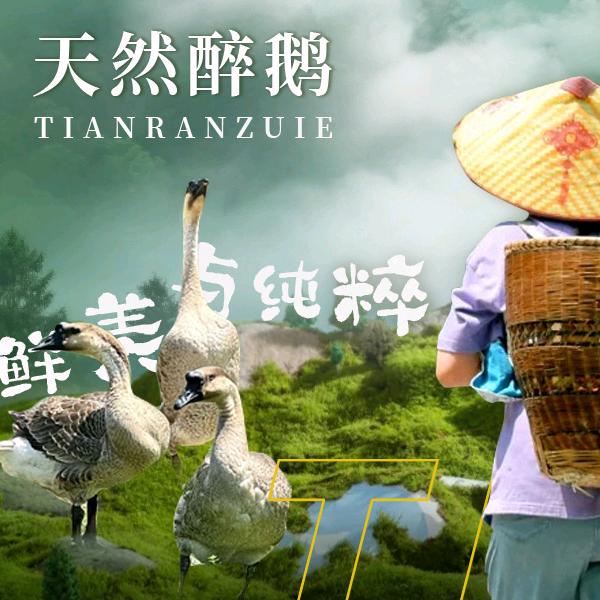 天然醉鹅·香草鸭官方直播间