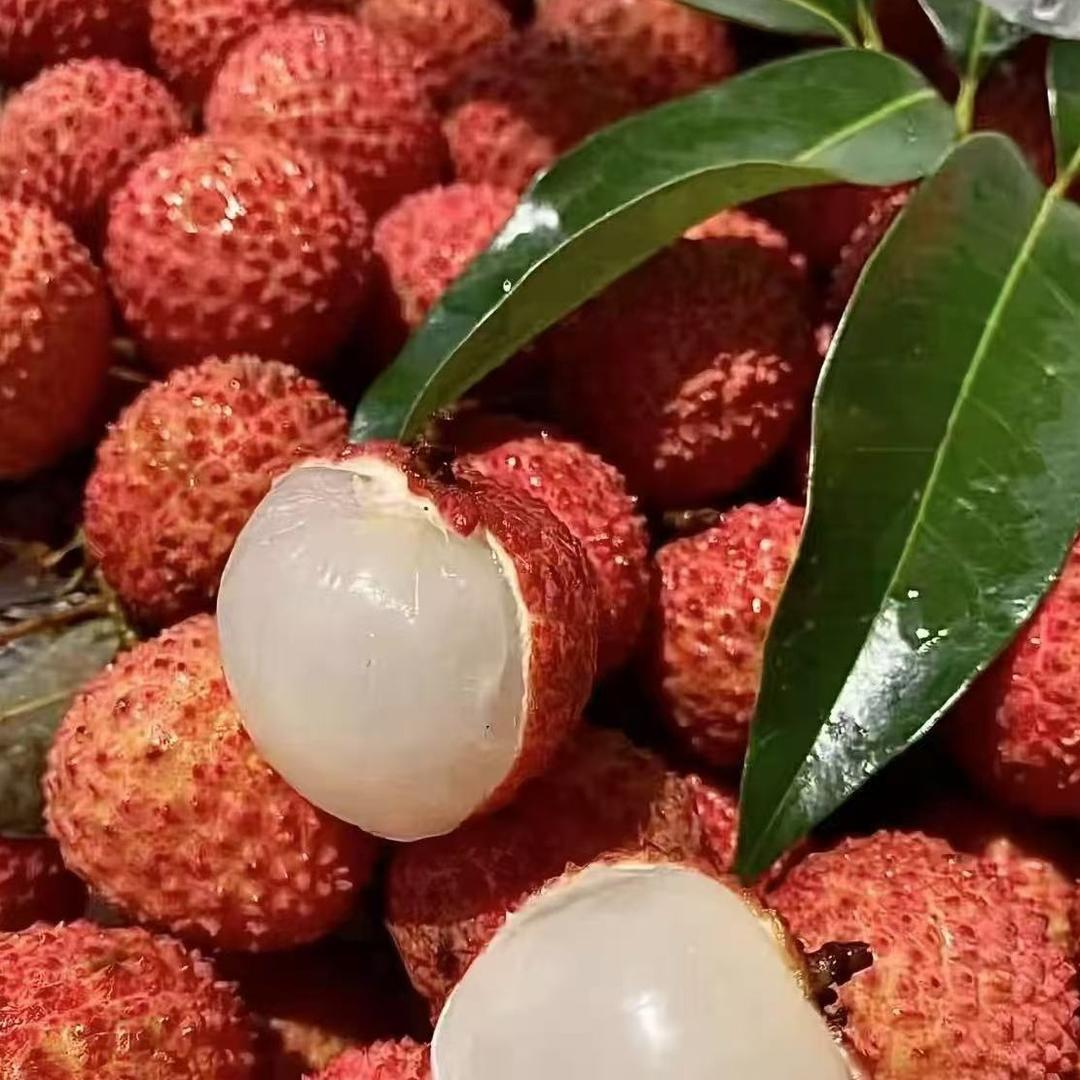 思磊丰豪