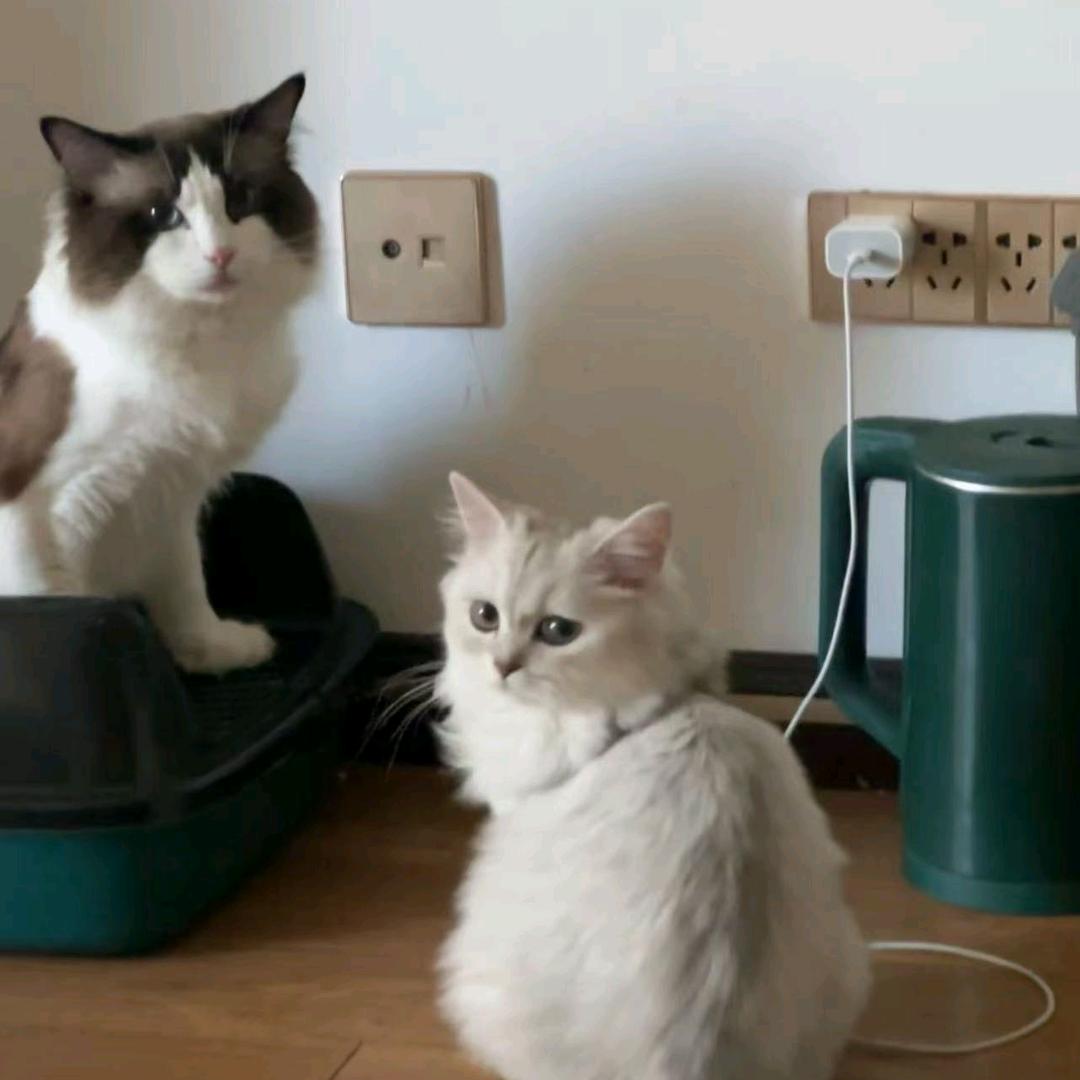 安盈影院安盈私人影院