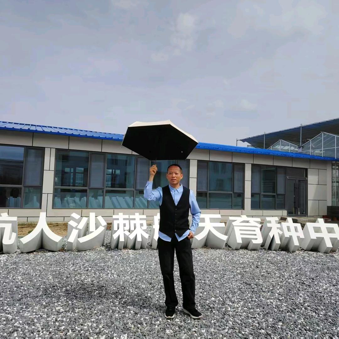 张艳的沙棘生活