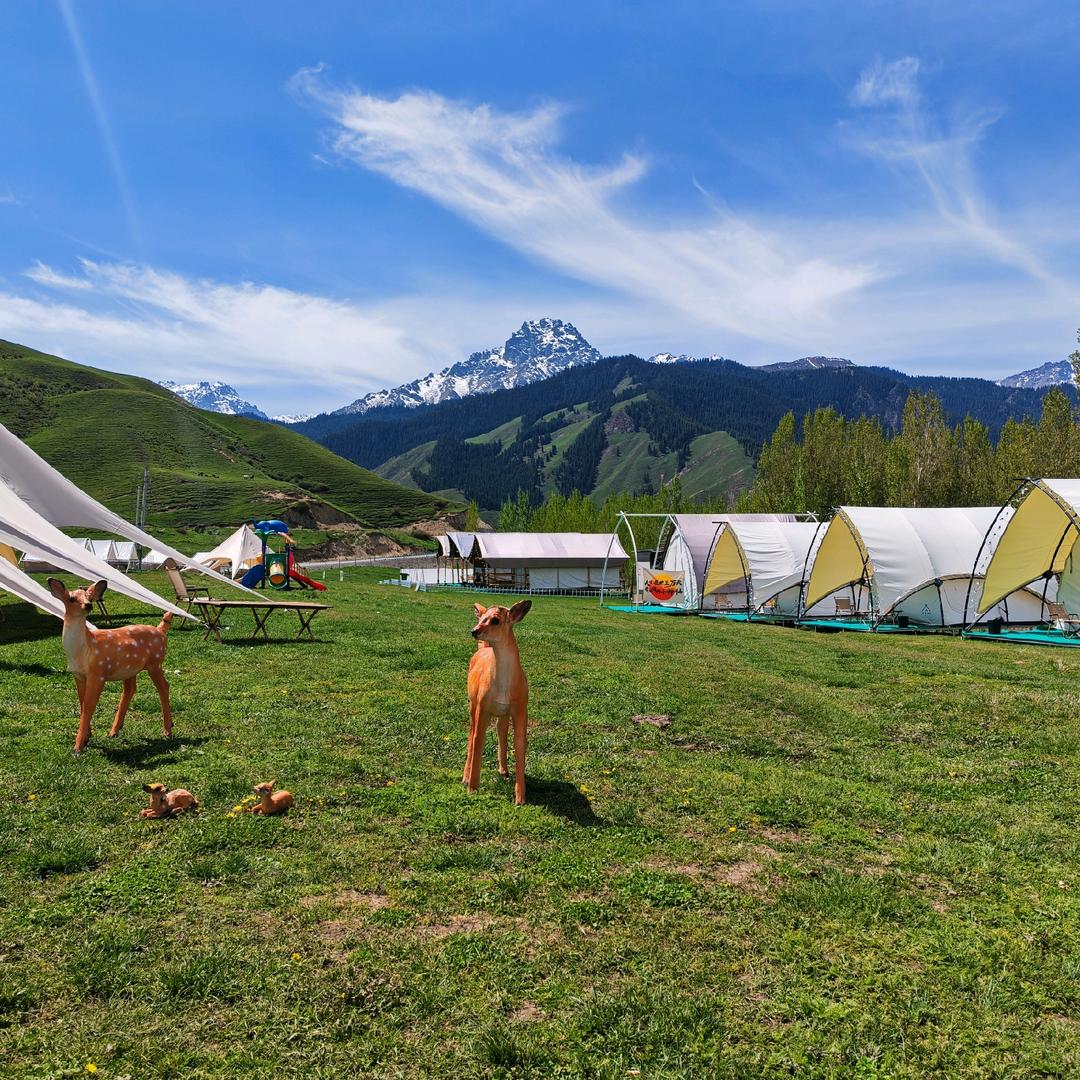 沙湾市鹿角湾牧野山涧露营基地