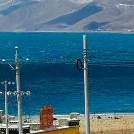 巨山文化4直播号