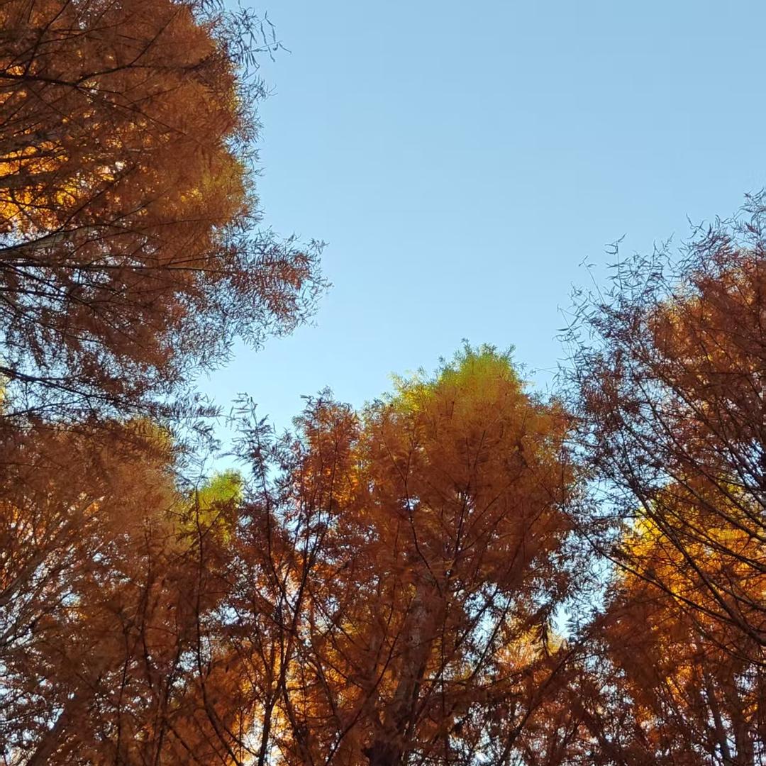 完库