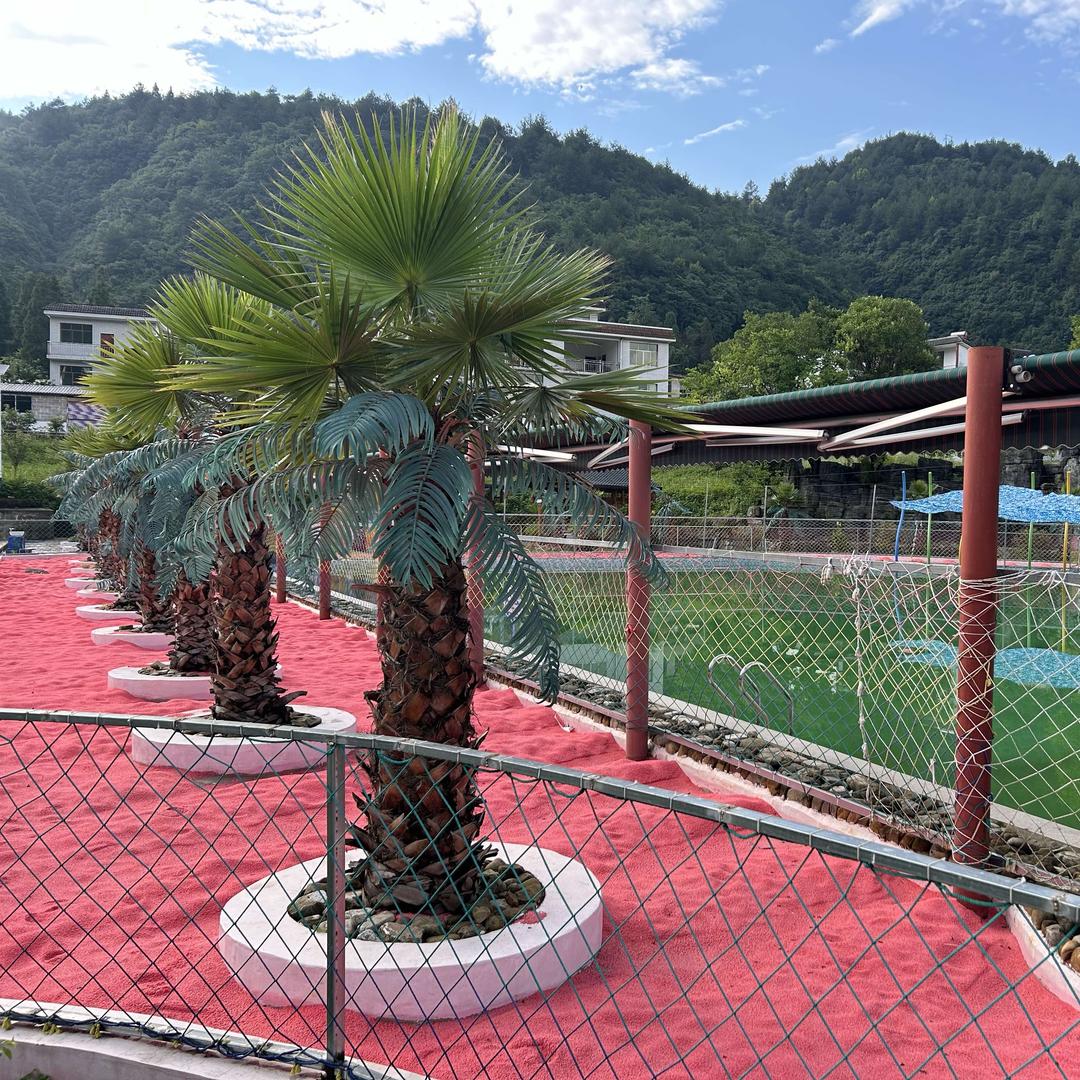 童梦红海岸官方号