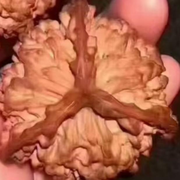 三星智能锁福城天虹购物中心店