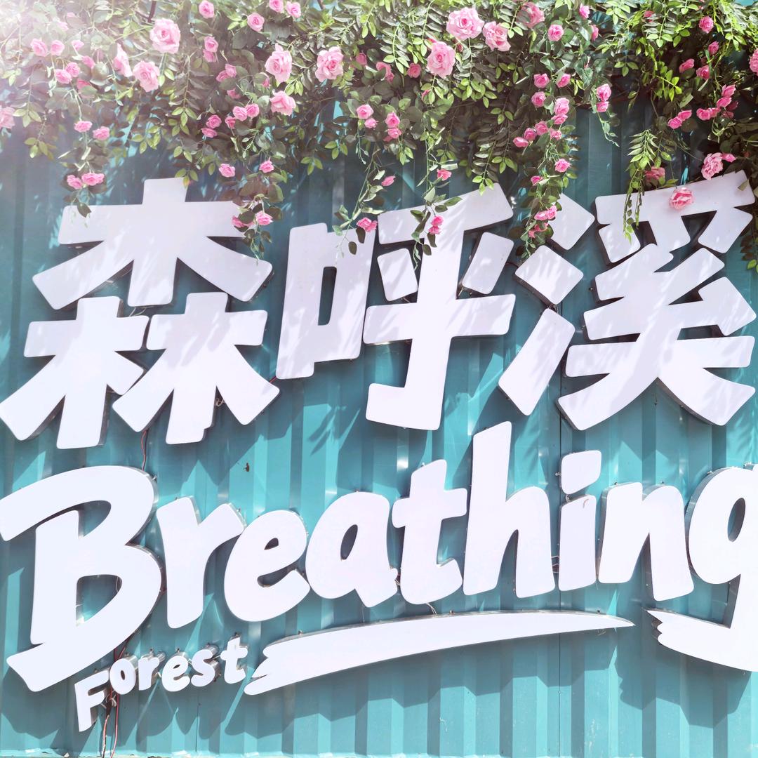 森呼溪露营(百花湖店)官方号