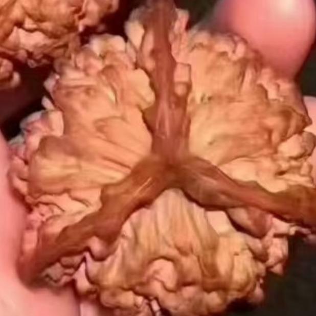 统一电池较场二路门店核对号