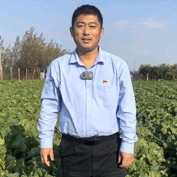 村官王本顺