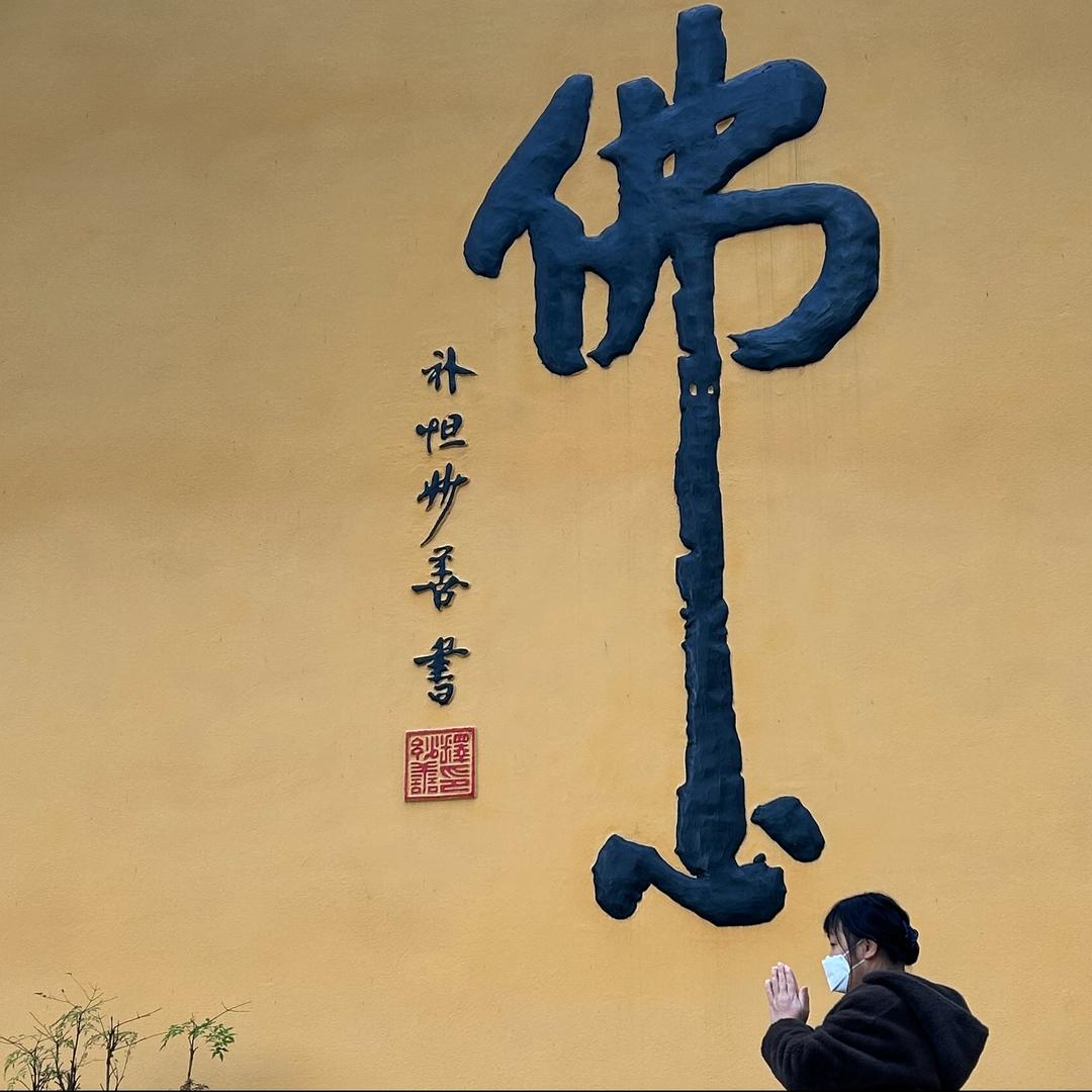 普陀山.龙小姑 舍得民宿