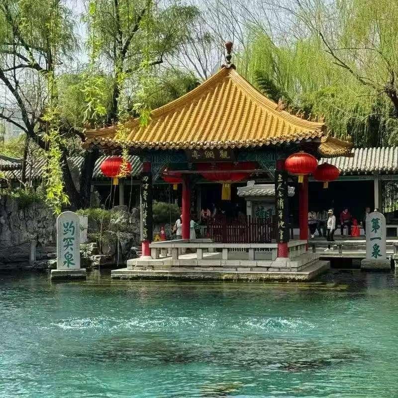 颖枭 半生-宠粉号